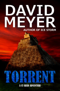 Torrent by David Meyer